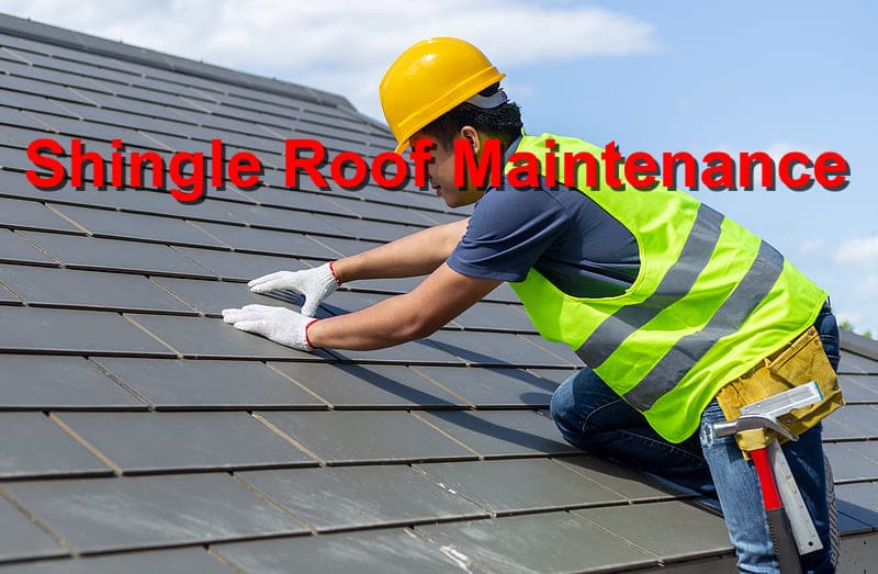 Shingle roof maintenance